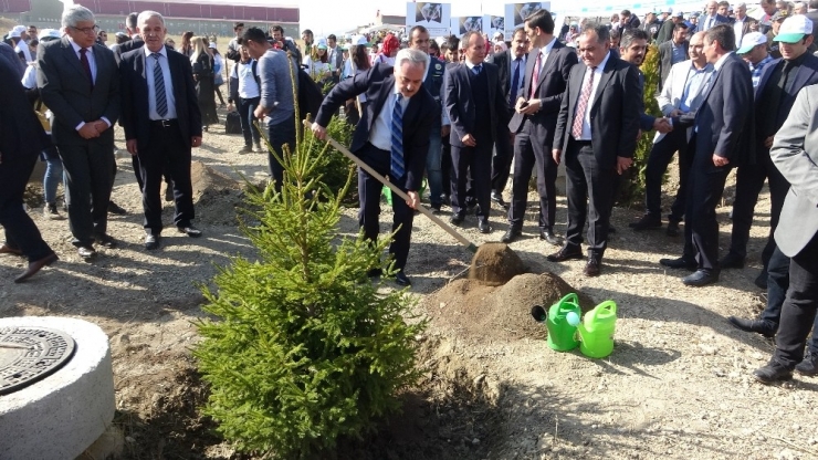 Isparta’da ‘Bugün Fidan Yarın Nefes’ Etkinliği: 145 Bin Fidan Toprakla Buluştu