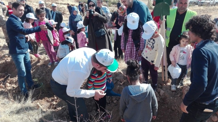 Kovancılar’da 5 Bin Fidan Toprakla Buluştu