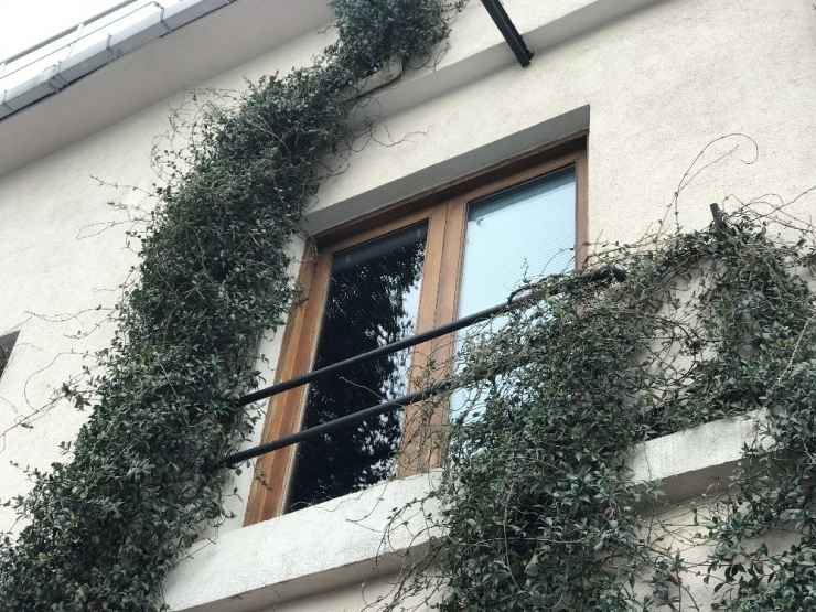 Ölü Bulunan Eski İngiliz İstihbarat Subayının Eşinin İfadesi Ortaya Çıktı