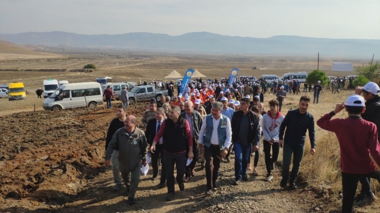 Geniş Güvenlik Önlemleri Altında 6 Bin Fidan Dikildi