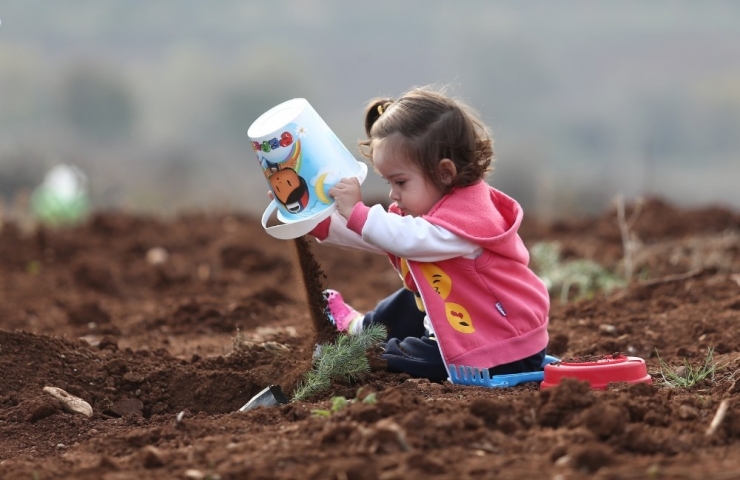 Bursa’da 236 Bin Fidan Toprakla Buluştu