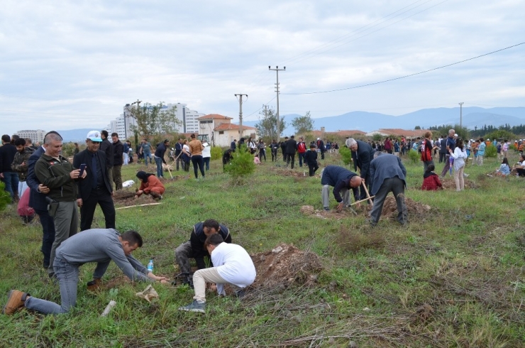 “Geleceğe Nefes” Kampanyasında Didim’den 5 Bin Fidan