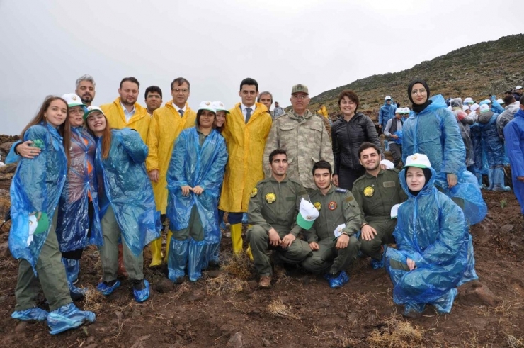 Menemen Ve Aliağa’da Fidanlar Toprakla Buluştu