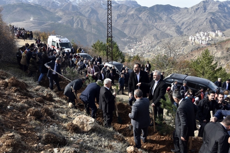 Gümüşhane’de 70 Bin Fidan Toprakla Buluştu