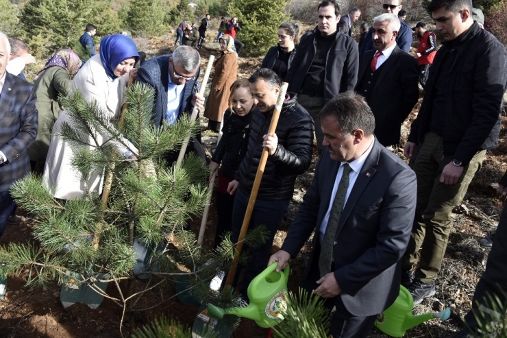 Gümüşhane’de 70 Bin Fidan Toprakla Buluştu