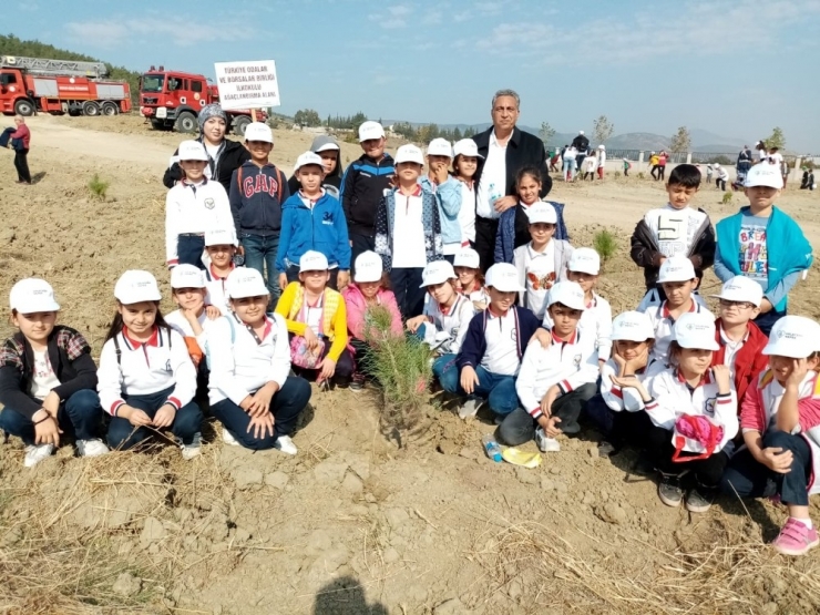 Hatay’da 104 Bin Fidan Toprakla Buluştu