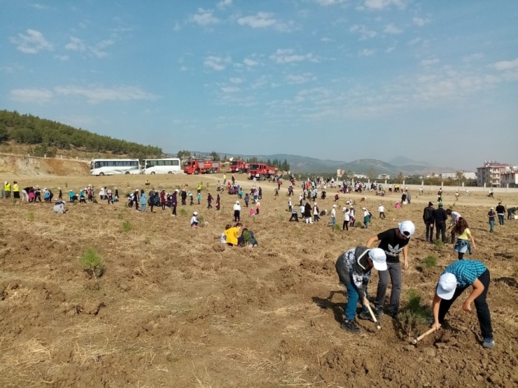 Hatay’da 104 Bin Fidan Toprakla Buluştu