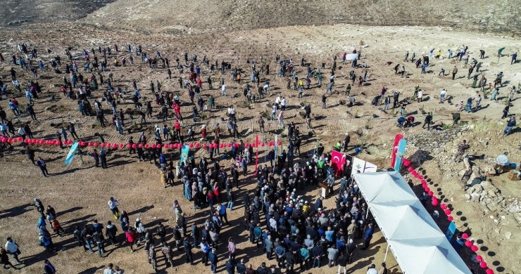 Batman Üniversitesi’nde 22 Bin 500 Fidan Toprakla Buluştu