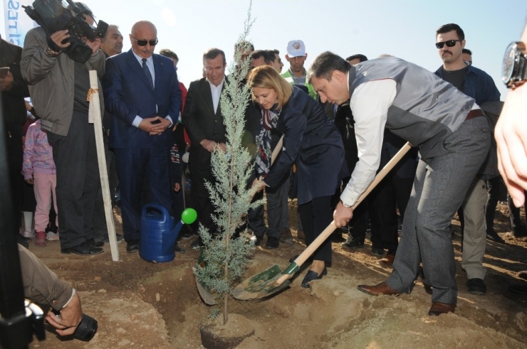 Batman Üniversitesi’nde 22 Bin 500 Fidan Toprakla Buluştu