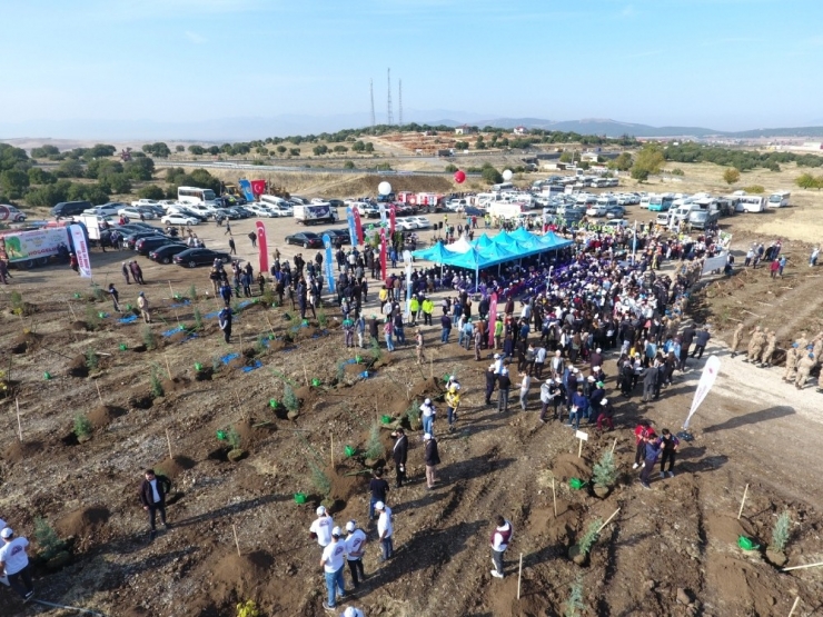 Kahramanmaraş’ta 221 Bin Fidan Toprakla Buluştu