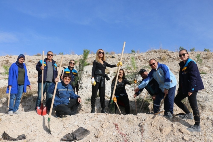 Kırka’da 25 Bin Fidan Toprakla Buluştu