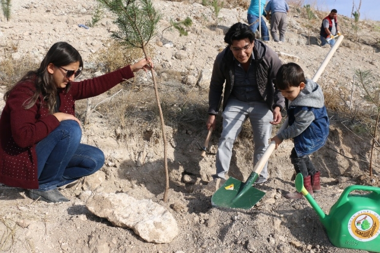 Kırka’da 25 Bin Fidan Toprakla Buluştu