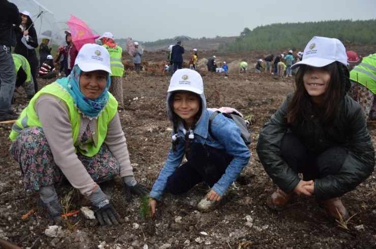 Manisa İlçelerinde Fidan Seferberliği
