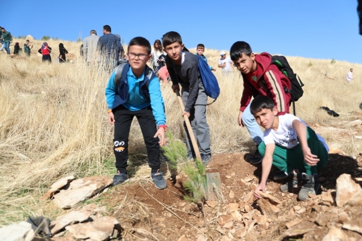 Mardin’de 243 Bin Fidan Toprakla Buluştu
