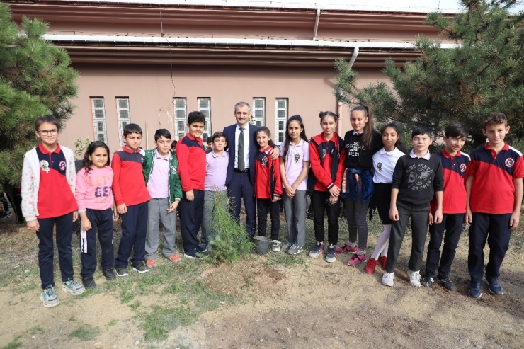 Çayırova’da Yeşile 600 Fidanlık Katkı