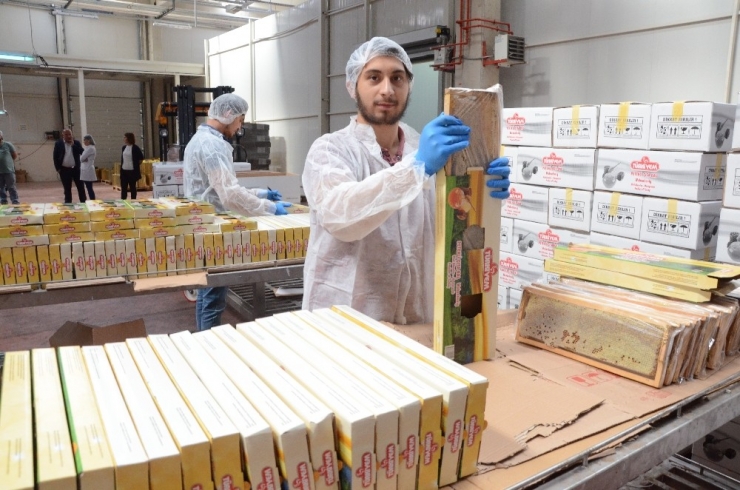 Sahte Bal, Arıcıların Emeğini Çalıyor, Gerçek Balın Pazarlanmasını Etkiliyor