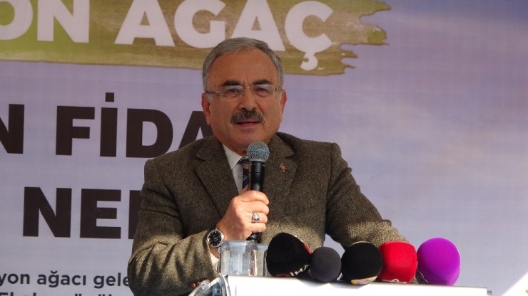 Ordu’da 103 Bin 300 Fidan Toprakla Buluştu