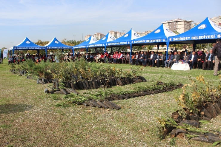 Şahinbey’de 11 Bin Fidan Toprakla Buluşturuldu