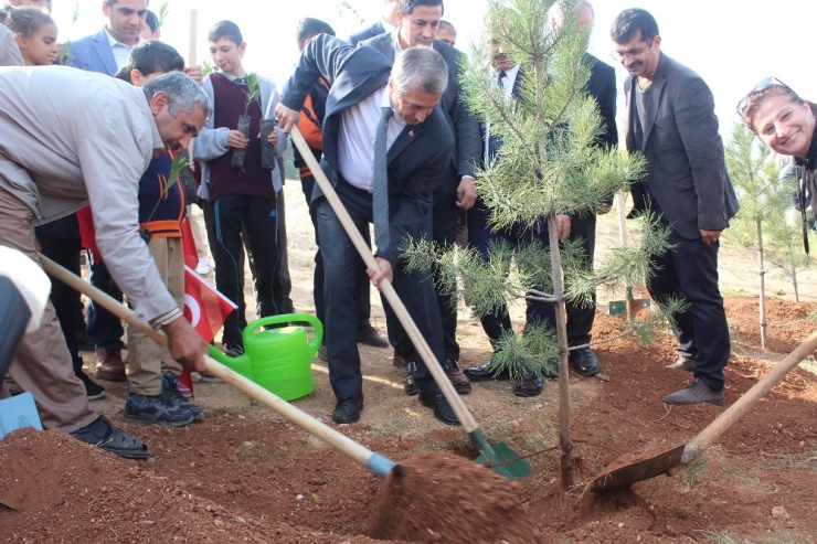 Şahinbey’de 11 Bin Fidan Toprakla Buluşturuldu