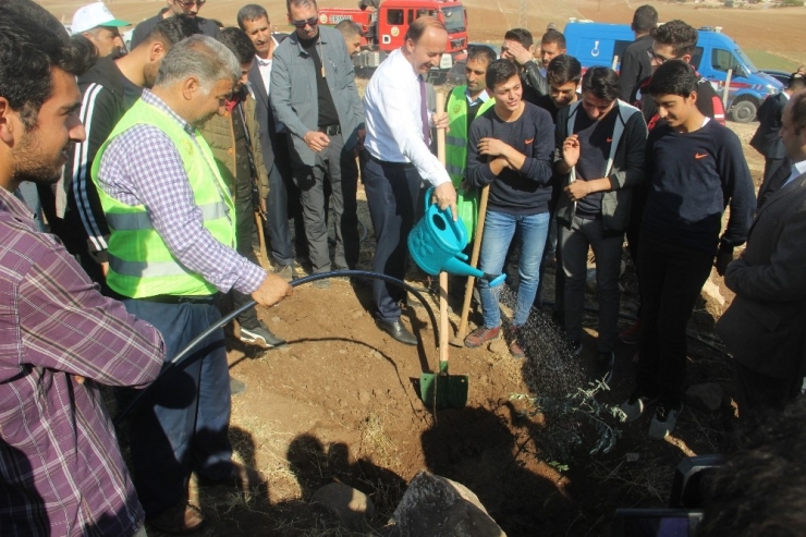 Şanlıurfa’da ‘Geleceğe Nefes’ İçin On Binlerce Ağaç Dikildi
