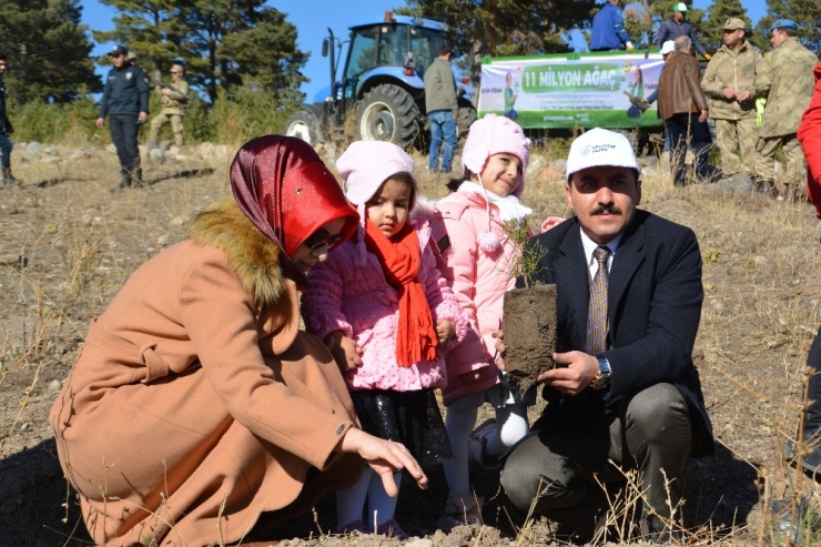 Sarıkamış’ta 700 Kişilik Ekiple 9 Bin Fidan Dikildi