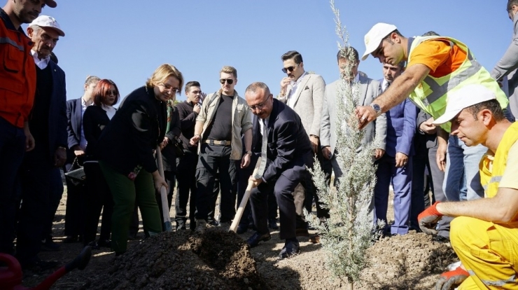 Siirt’te 123 Bin Fidan Toprakla Buluştu