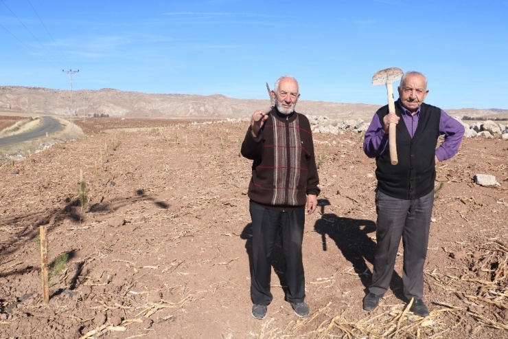 Ot Bitmeyen Yeri Taşıma Toprakla Ormana Dönüştürdü