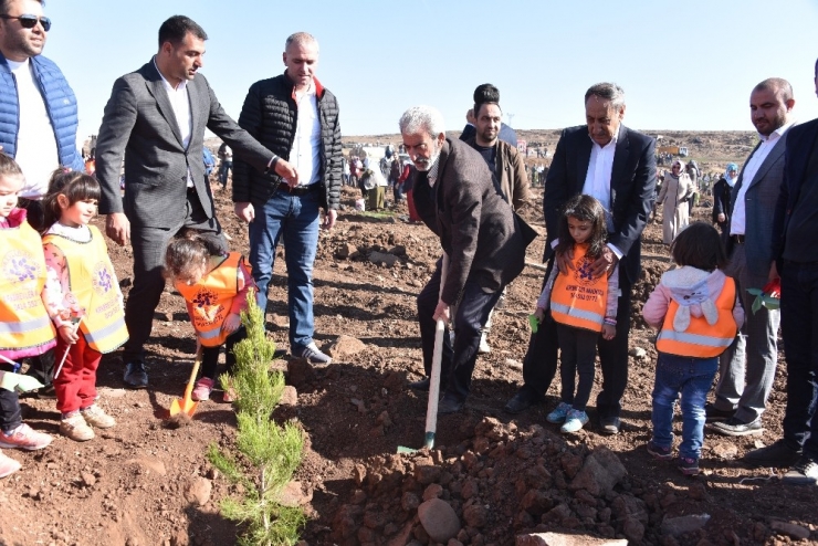 Siverek’te 10 Bin Fidan Toprakla Buluştu