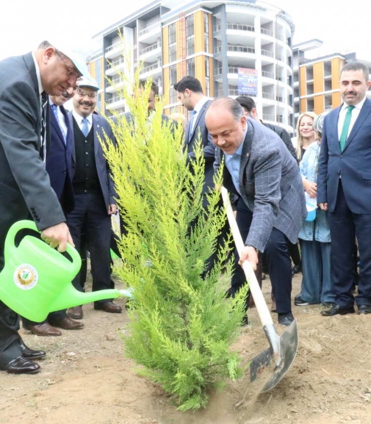 Ak Partili Yavuz, Aydın’daki Fidan Dikme Seferberliğine Katıldı