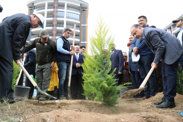 Ak Partili Yavuz, Aydın’daki Fidan Dikme Seferberliğine Katıldı