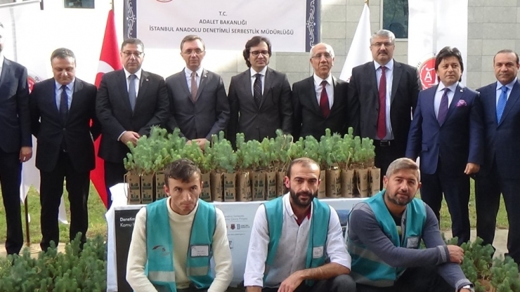 Anadolu Adalet Sarayı’nda 500 Fidan Toprakla Buluştu