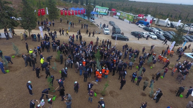 Balıkesir’de Fidanlar Toprak İle Buluştu