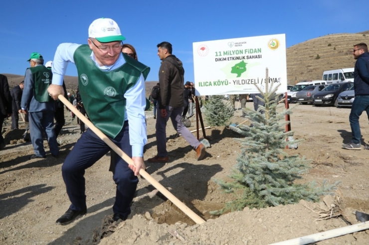 Sivas’ta 49 Noktada 511 Bin 279 Fidan Dikildi