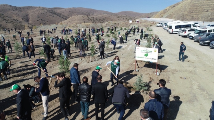 Sivas’ta 49 Noktada 511 Bin 279 Fidan Dikildi