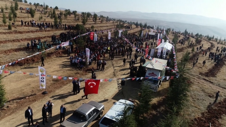 Kırıkkale’de 71 Bin Fidan Toprakla Buluşturuldu