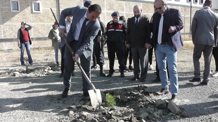 Kulu’da Fidanlar Toprakla Buluşturuldu.