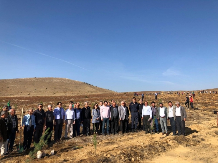 Hüyük’ten Ağaçlandırma Seferberliğine 20 Bin Fidan Desteği