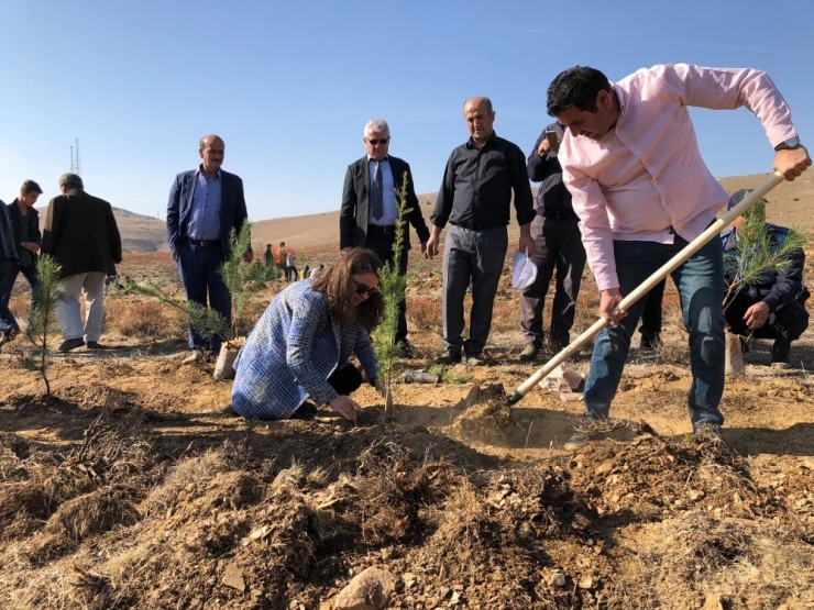 Hüyük’ten Ağaçlandırma Seferberliğine 20 Bin Fidan Desteği