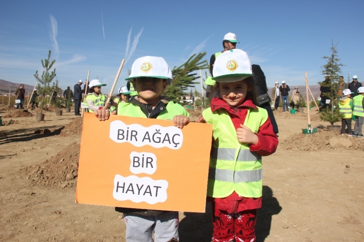 Bingöl’de 65 Bin Fidan Toprakla Buluştu