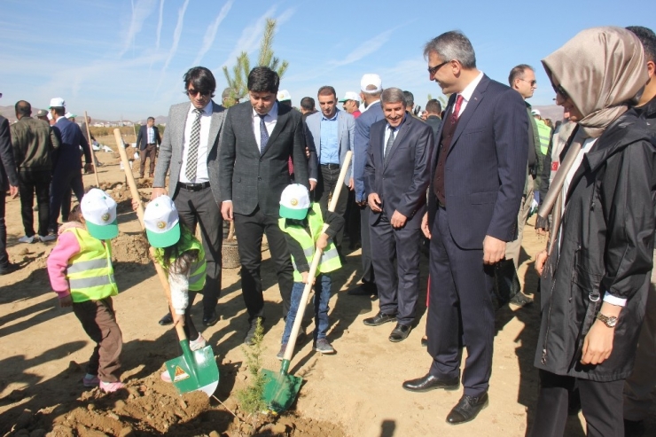 Bingöl’de 65 Bin Fidan Toprakla Buluştu