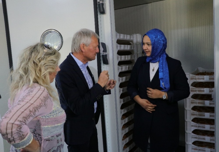 Belediyedeki İşinden Kovuldu, İş Kadını Oldu