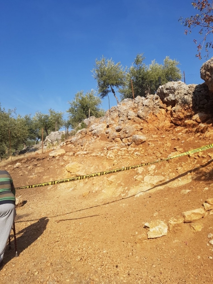 Zeytin Ağacından Düşen Kişi Öldü