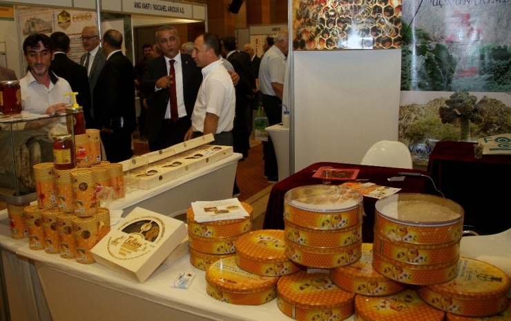 Muğla, Uluslar Arası Arıcılık Ve Çam Balı Kongresine Hazırlanıyor