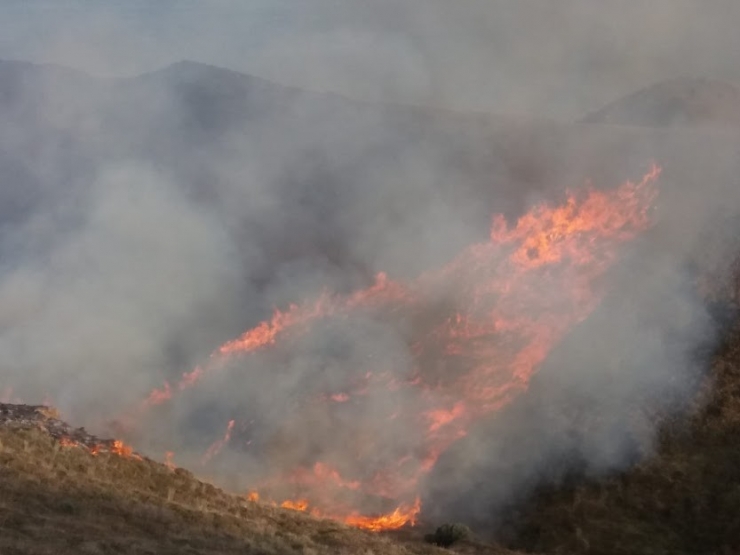 Makilik Alanda Yangın
