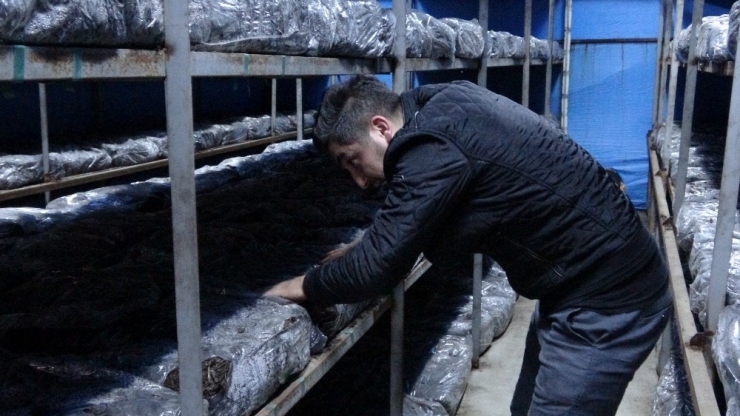 Boş Araziyi Değerlendirdiler, Aylık Ortalama Birer Memur Maaşı Kazanıyorlar