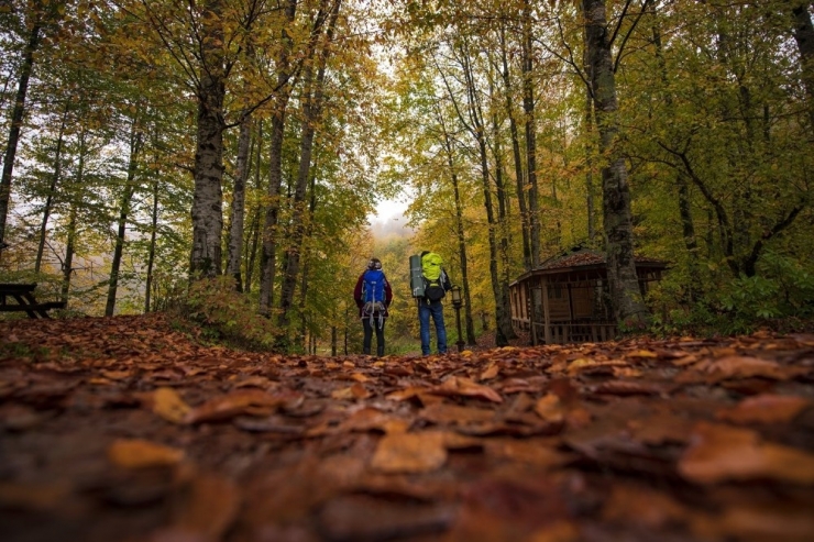 Sonbahar Ulugöl’e Yakıştı