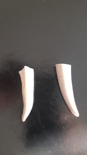 Tarihi Eser Kaçakçıları Hava Limanında Yakalandı