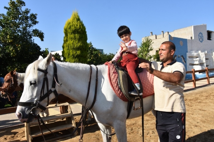 Özel Çocuklar Atla Terapi Ediliyor