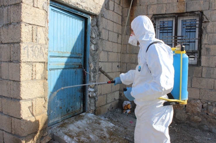 Tilki Nedeniyle Köy Karantinaya Alındı