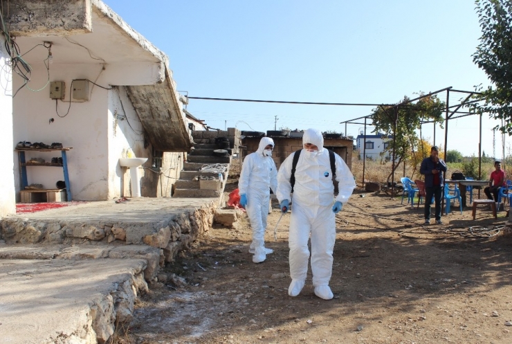 Tilki Nedeniyle Köy Karantinaya Alındı